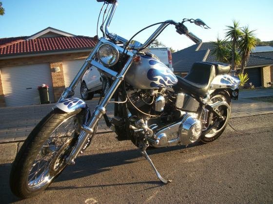 1986 Harley-Davidson Custom Softail