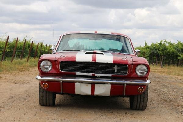 1966 Ford Mustang Shelby GT350 Tribute Fastback