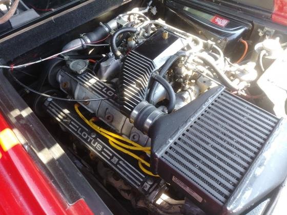 1984 Lotus Esprit Turbo Calypso Red