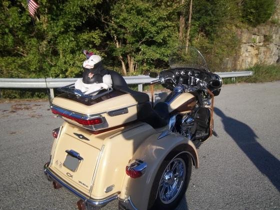 2014 Harley-Davidson Touring Trike