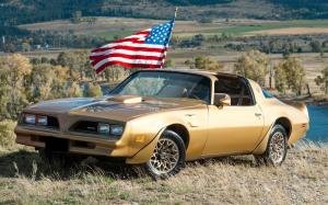 1978 Pontiac Firebird Trans Am Y88 Special