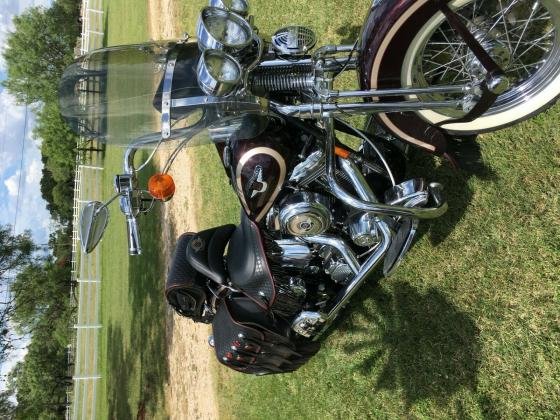 1998 Harley-Davidson Heritage Springer FLSTS 95th Anniversary Softail