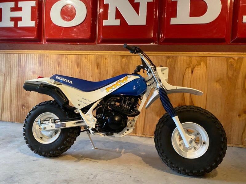 Motorcycles 1986 Honda Fat Cat 200 TR200