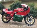 1984 Ducati 900 Mike Hailwood Replica Collector Condition