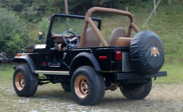 1978 Jeep CJ GOLDEN EAGLE/LEVIS Convertible 258