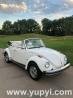 1979 Volkswagen Beetle-Classic Convertible Manual White