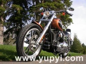 2008 Harley Davidson Dyna Low Rider