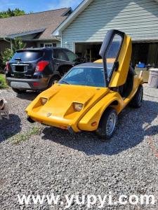 1973 Volkswagen Other Kit Car Manx SR