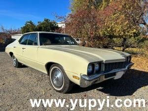 1972 Buick Skylark Brown RWD Automatic